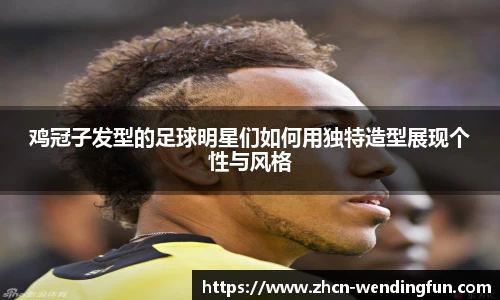 鸡冠子发型的足球明星们如何用独特造型展现个性与风格